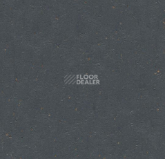 Линолеум Forbo Marmoleum Solid Cocoa 3583-358335 chocolate blues фото 1 | FLOORDEALER
